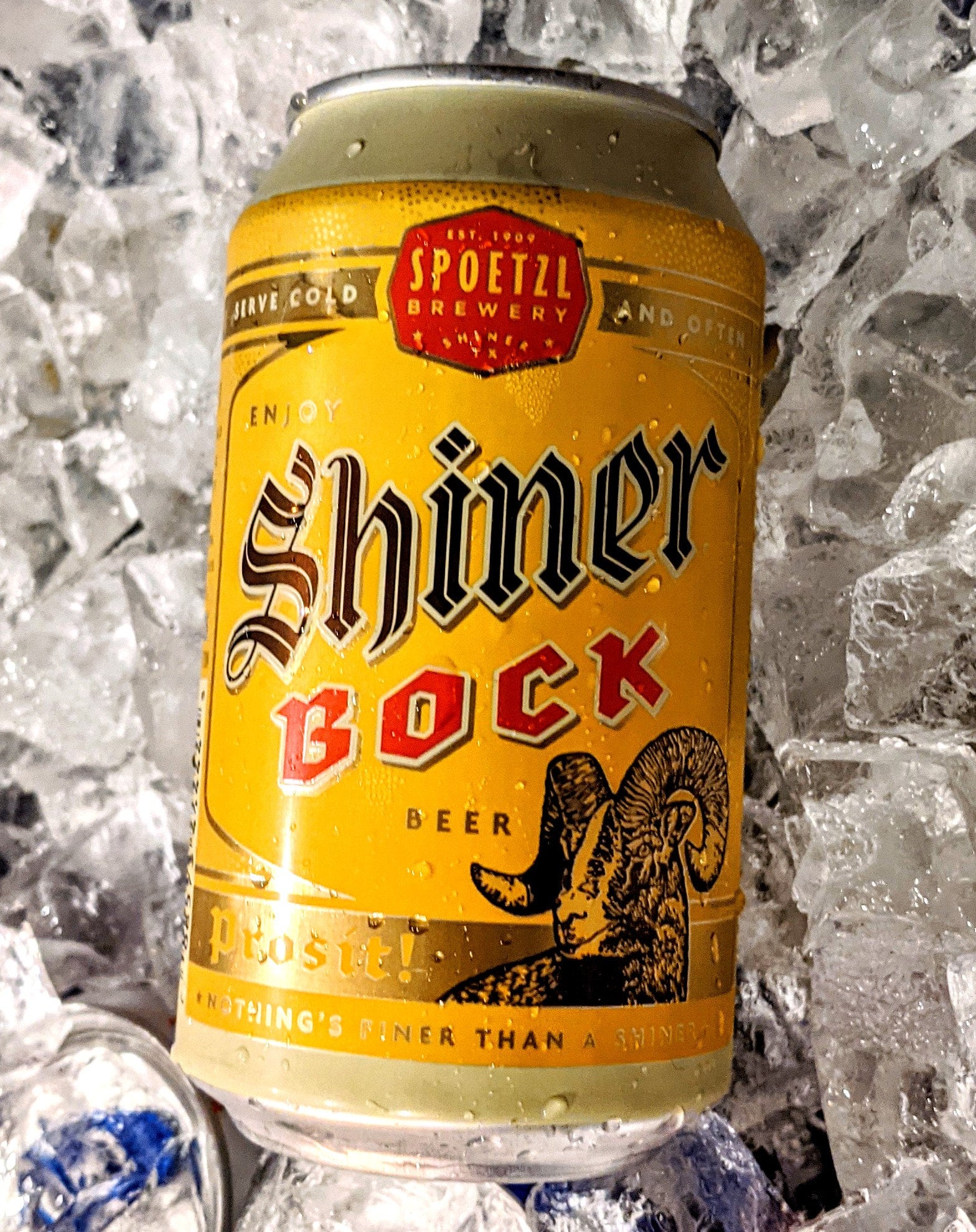 Shiner Bock Texas Beer